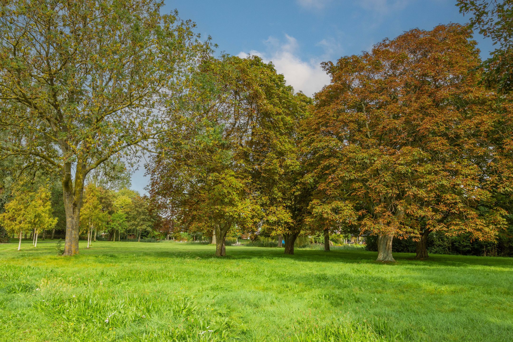 Foto 72 van Wielewaal 28