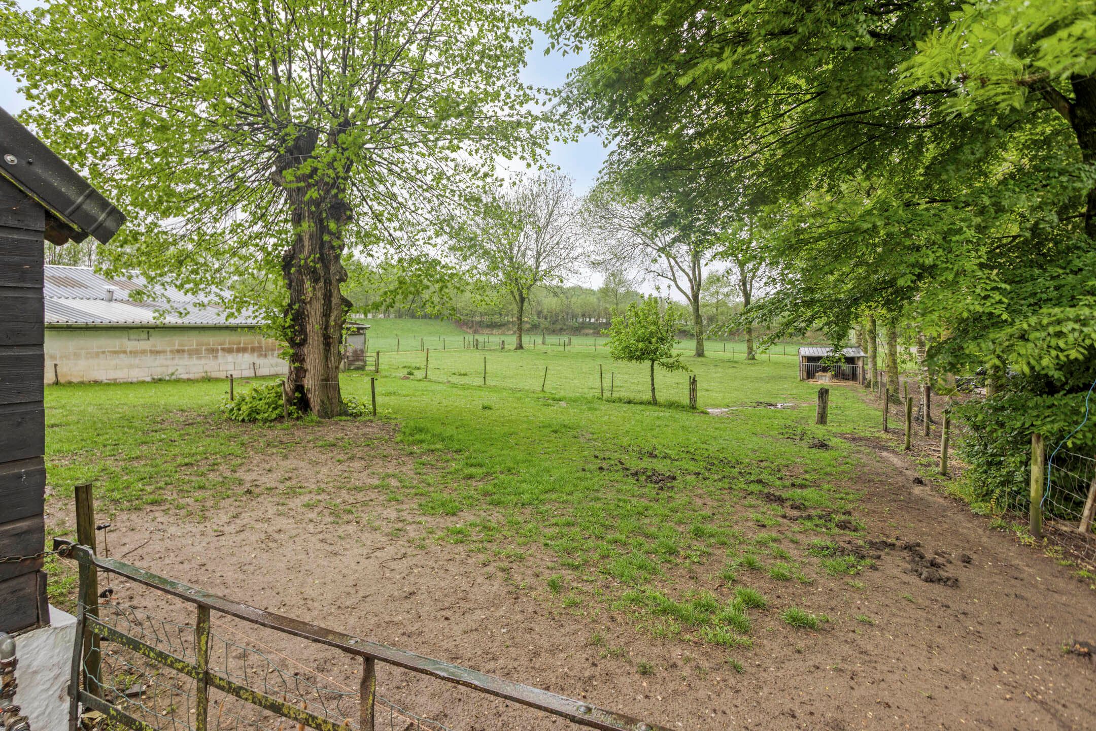 Foto 36 van Ewinkel 7