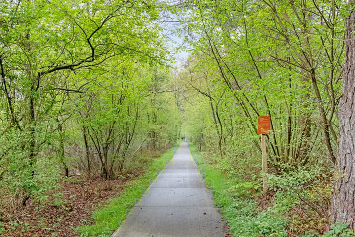 Photo 40 of Rolderstraat 11-A254