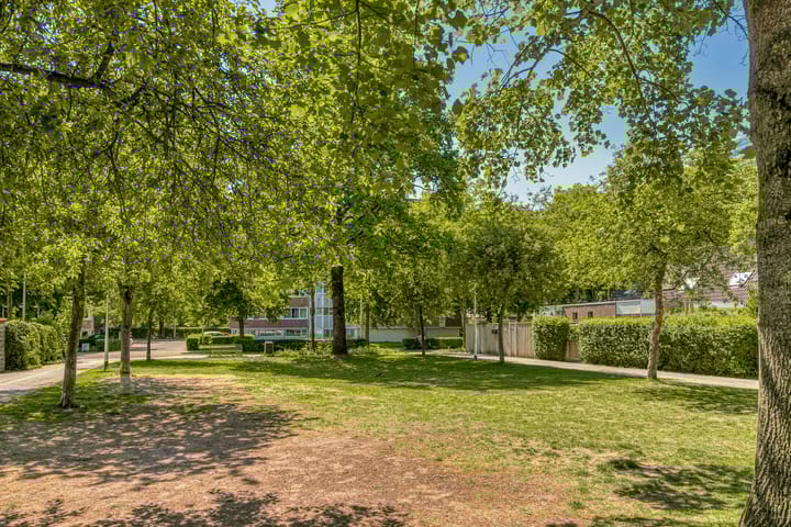 Foto 44 van Abdij van Egmondstraat 29