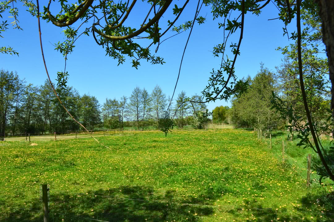 Foto 37 van Fallaetswei 32