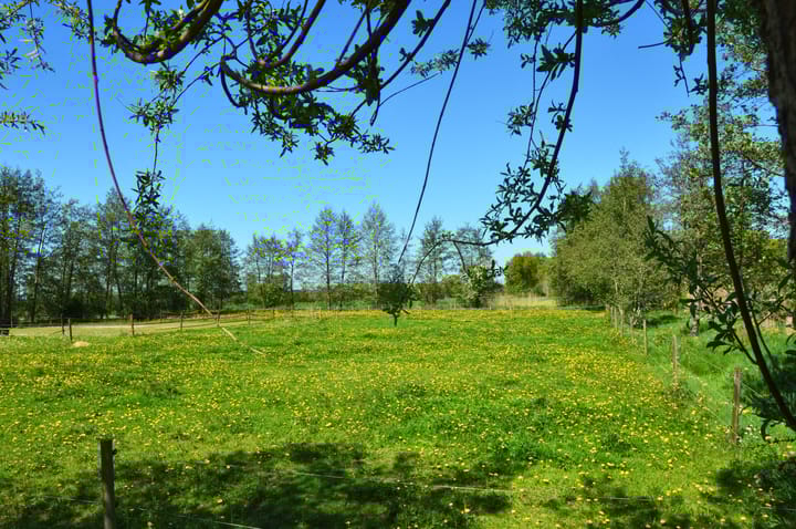 Foto 37 van Fallaetswei 32