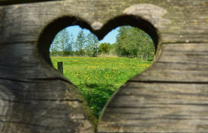 Foto 38 van Fallaetswei 32