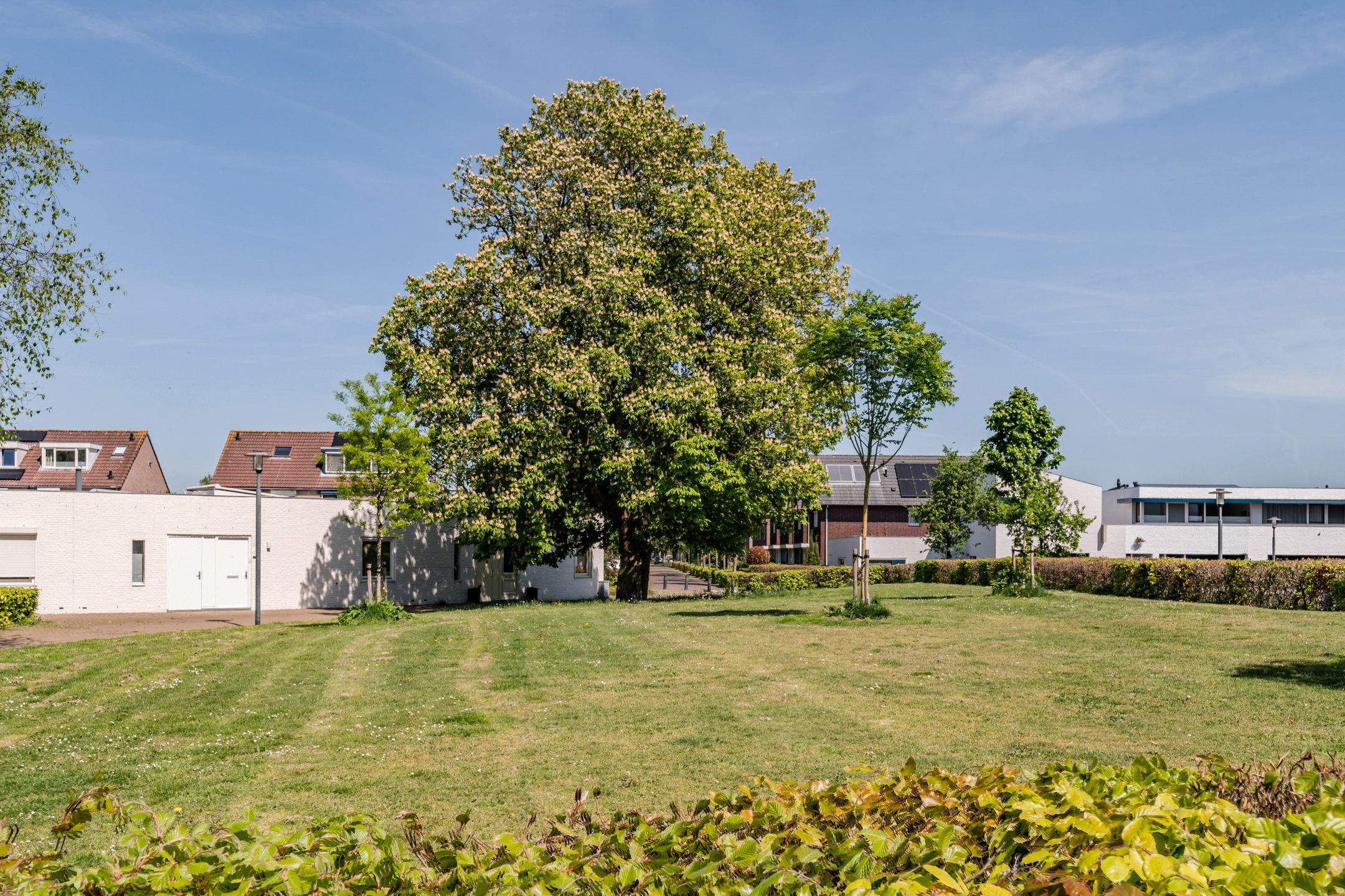 Foto 30 van Stoomlederplein 2