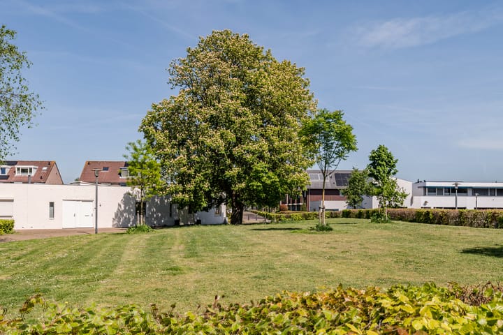 Foto 30 van Stoomlederplein 2