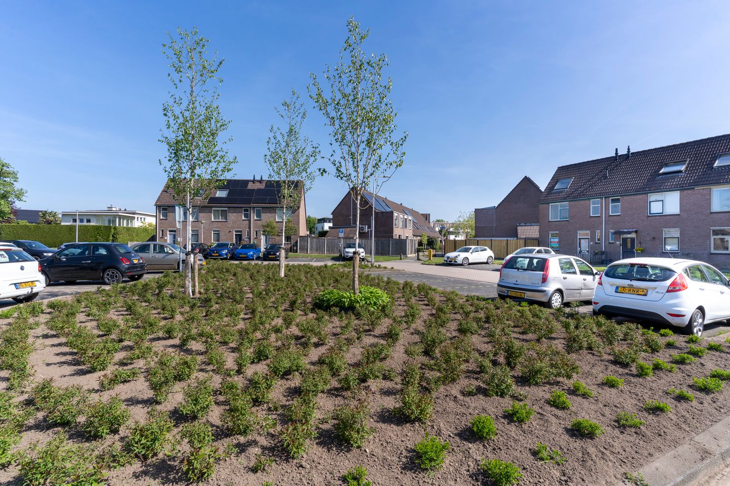 Foto 40 van De Looch 20