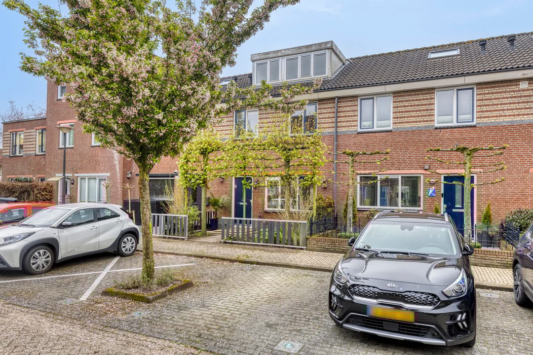 Foto 1 van James Grievegaarde 18