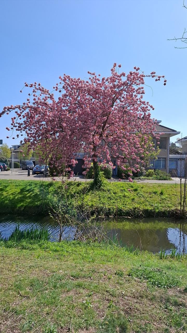 Photo 38 of Henriëtte van Soelenlaan 4