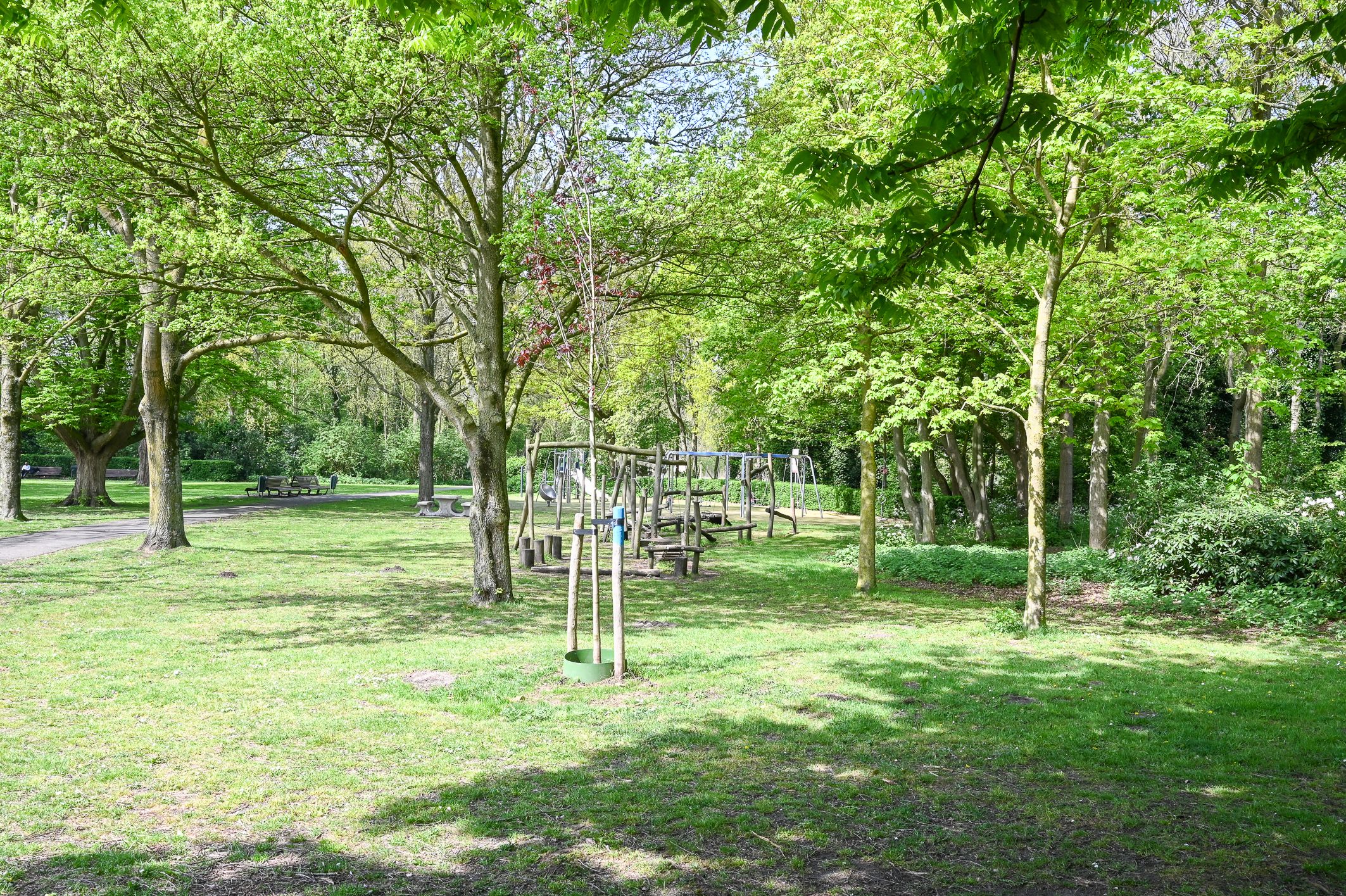 Photo 39 of Henriëtte van Soelenlaan 4