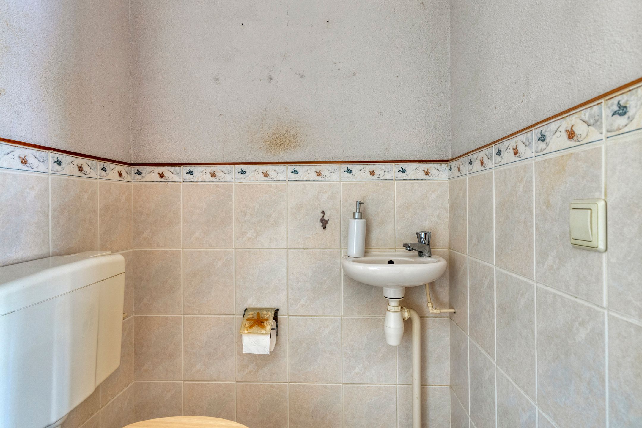 Foto 9 van James Grievegaarde 18