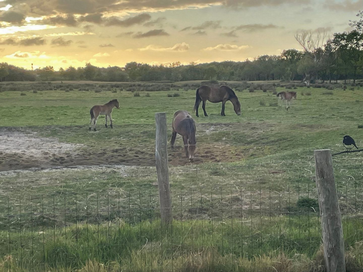 Foto 14 van Hogezoom 67-A