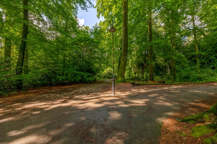 Foto 49 van Bernhardlaan 45-4