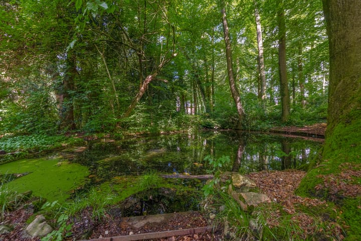 Foto 50 van Bernhardlaan 45-4