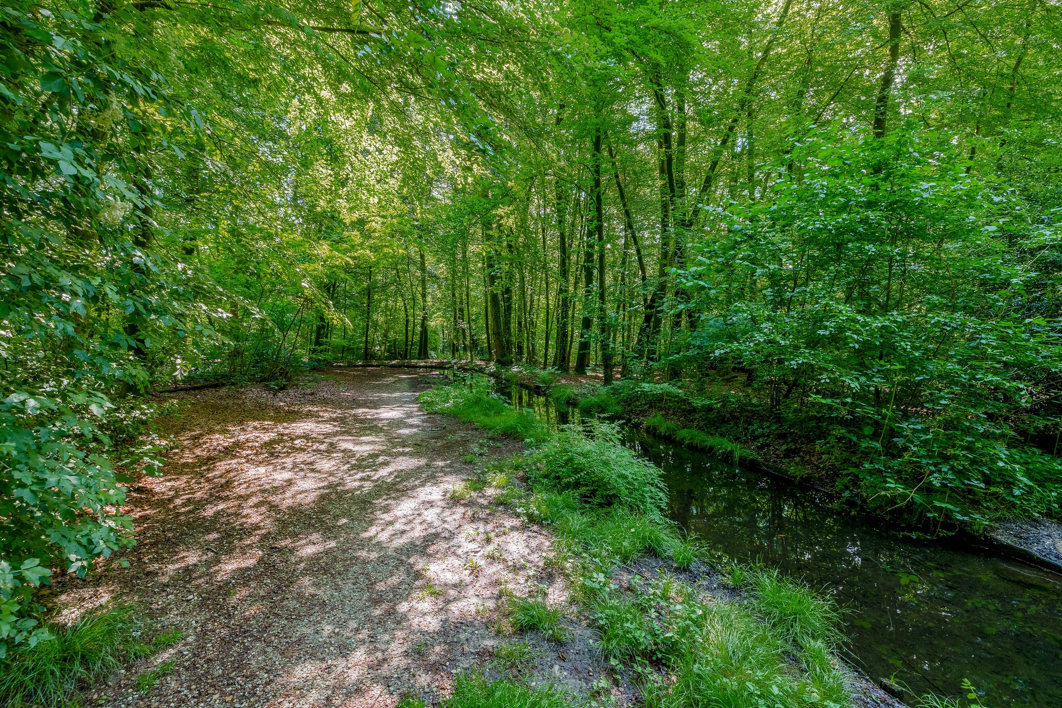 Photo 51 of Bernhardlaan 45-4