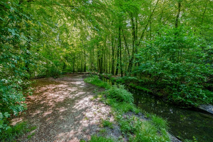 Foto 51 van Bernhardlaan 45-4