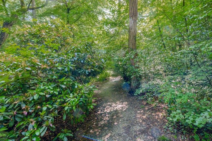 Foto 52 van Bernhardlaan 45-4