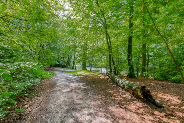 Foto 53 van Bernhardlaan 45-4