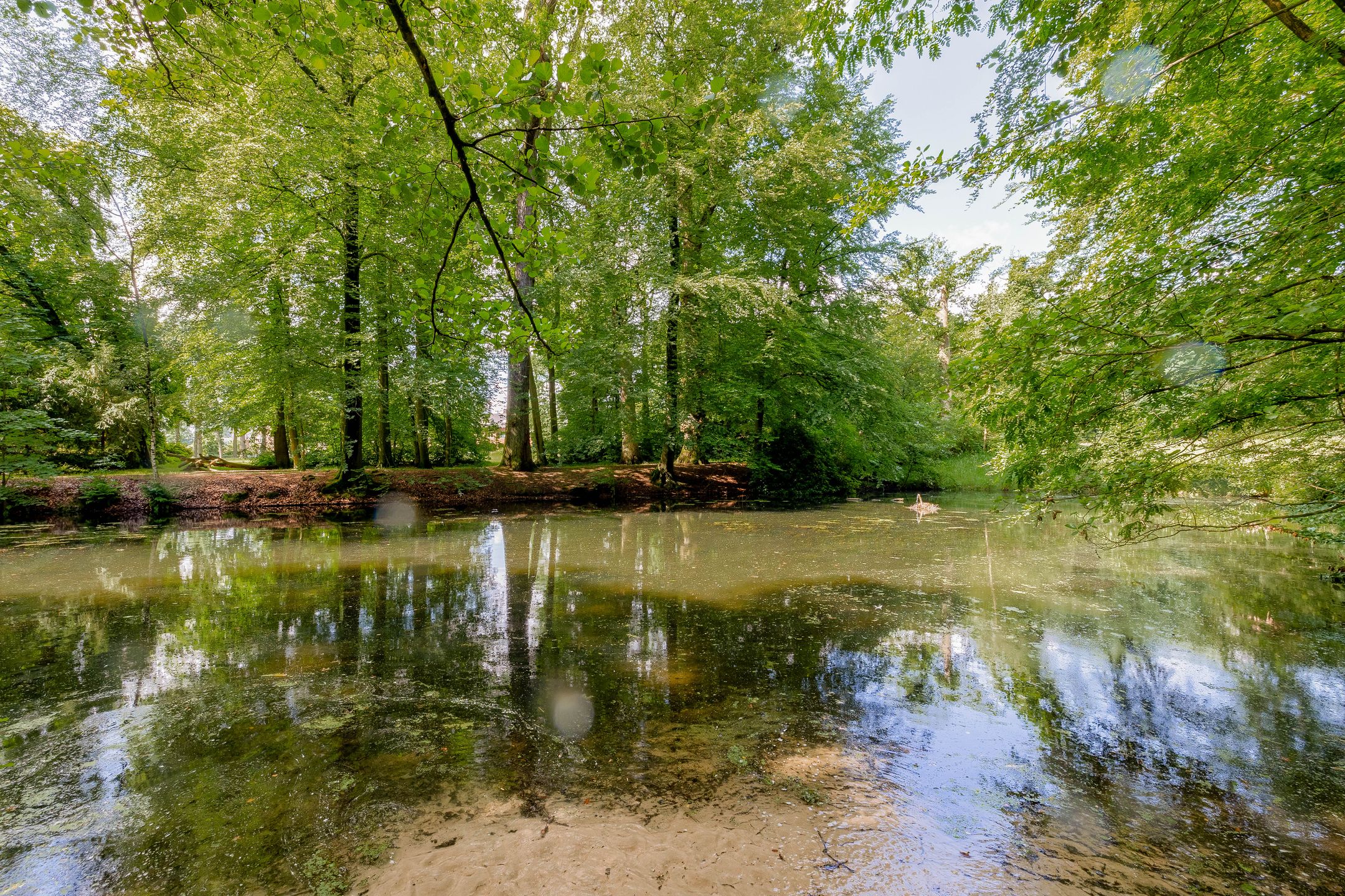 Photo 54 of Bernhardlaan 45-4