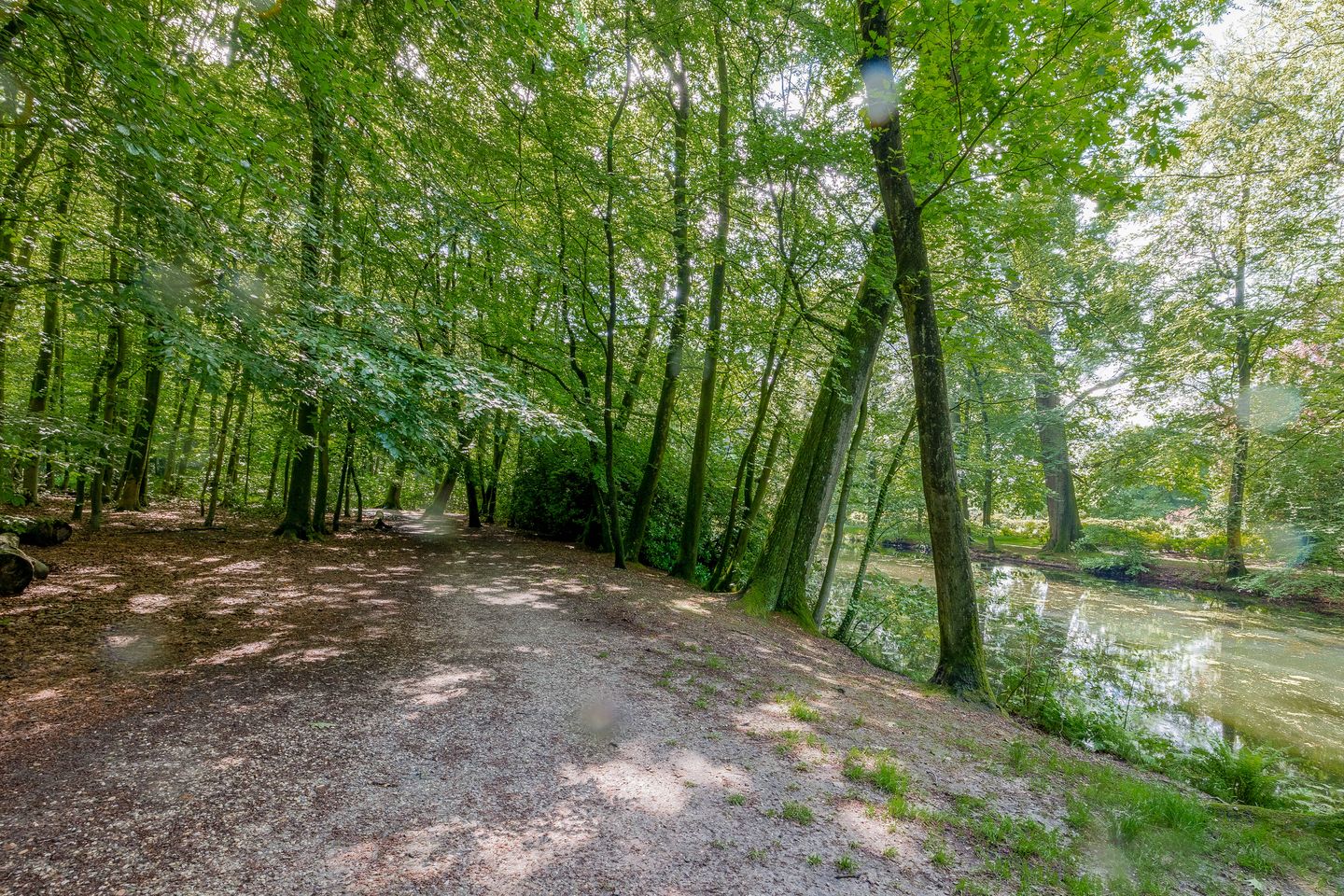 Photo 55 of Bernhardlaan 45-4