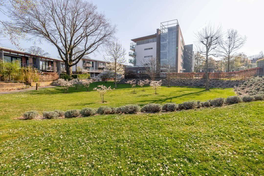 Photo 38 of Thomas Ettylaan 26