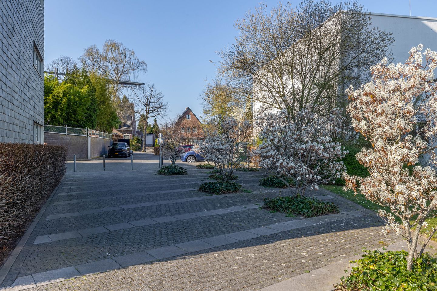 Photo 40 of Thomas Ettylaan 26