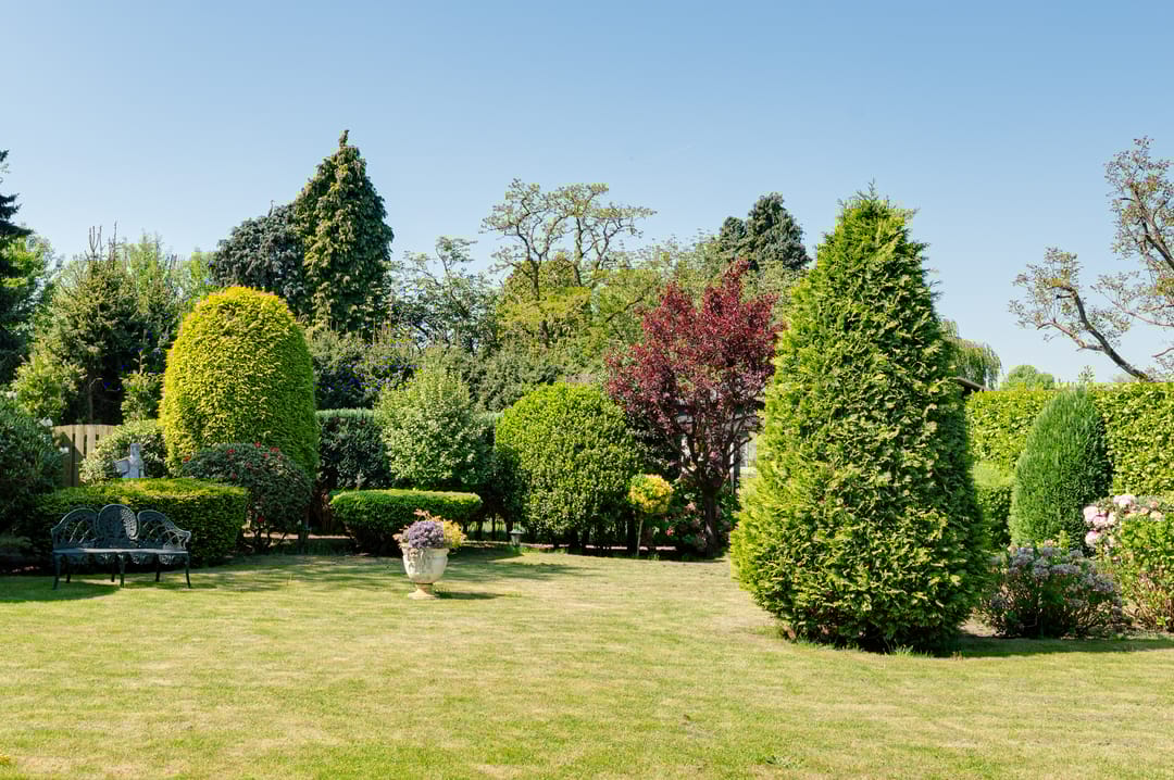 Foto 31 van Elschotseweg 34