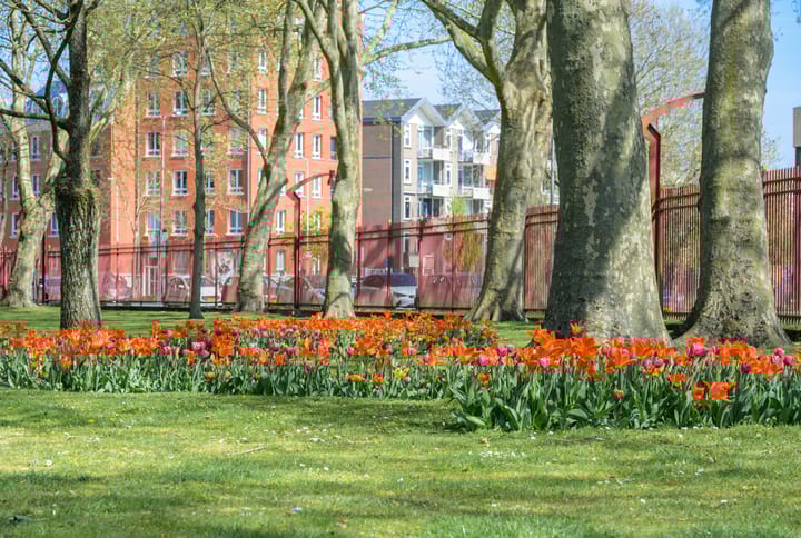 Foto 56 van J.F. Kennedylaan 6-A