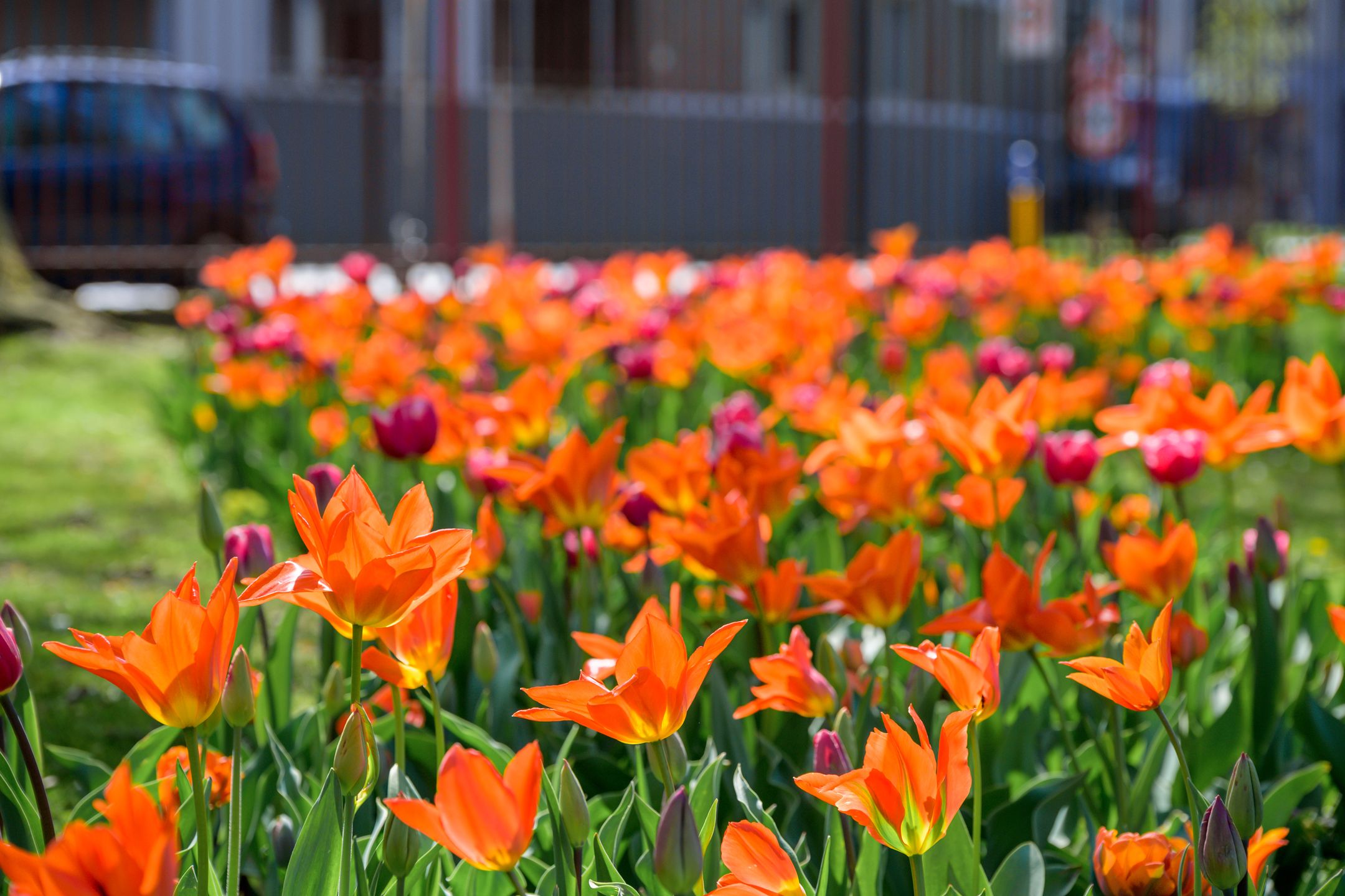 Foto 57 van J.F. Kennedylaan 6-A