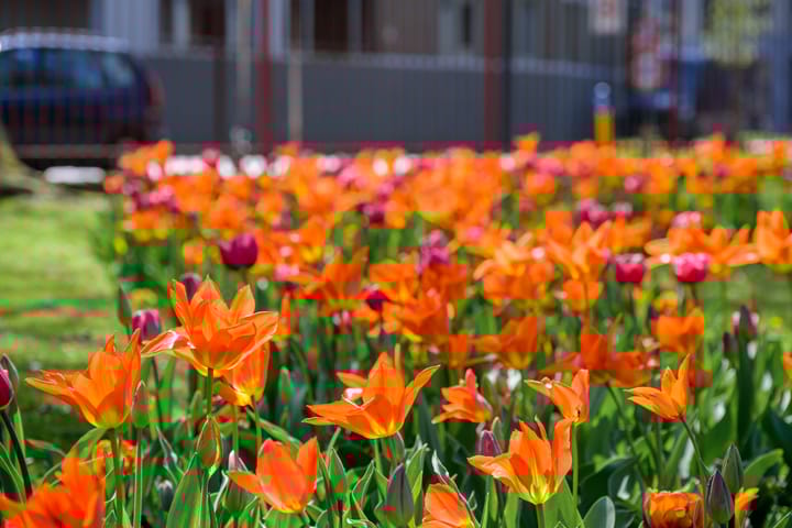 Foto 57 van J.F. Kennedylaan 6-A