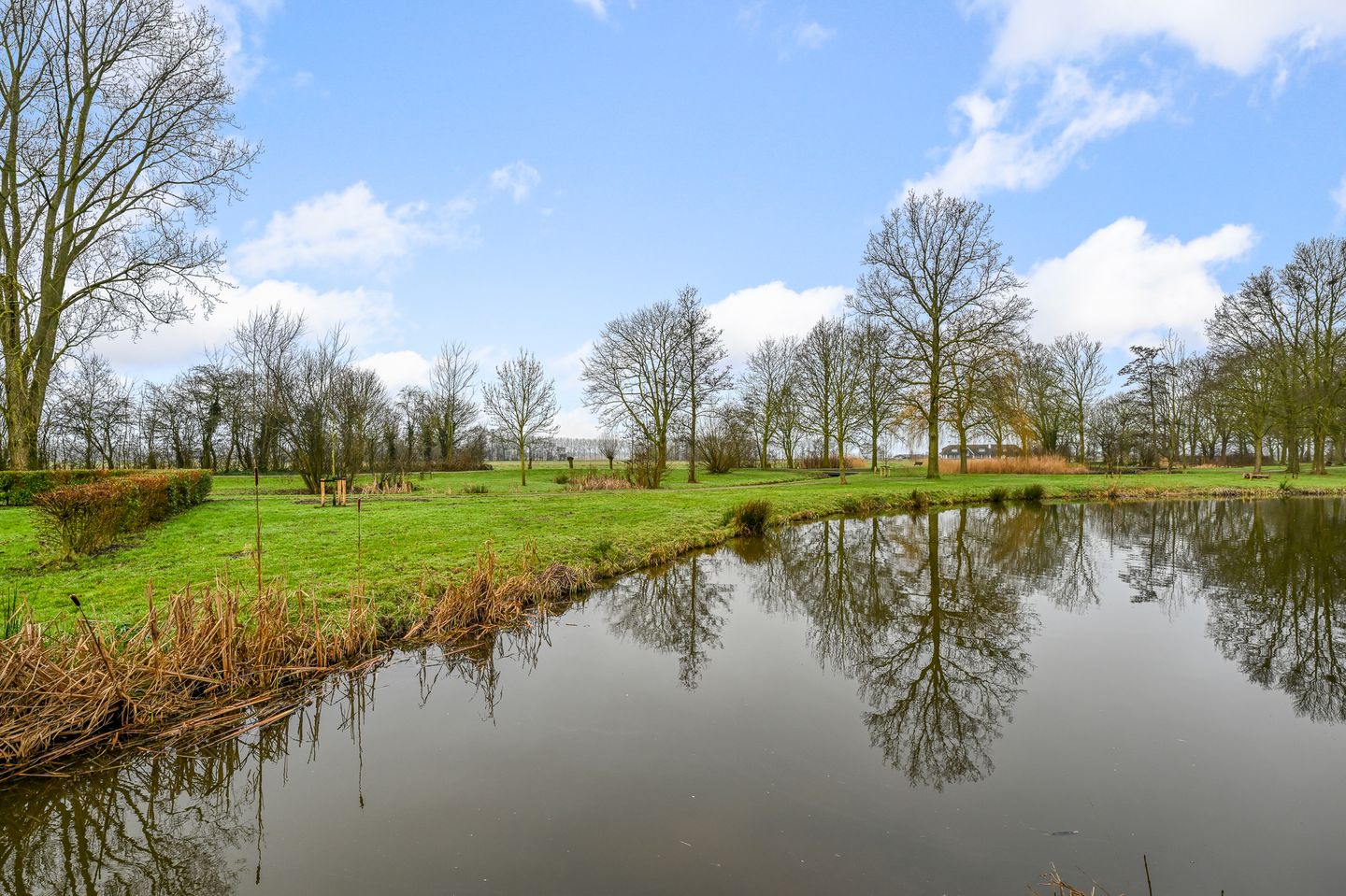 Foto 5 van Argonnestraat 32