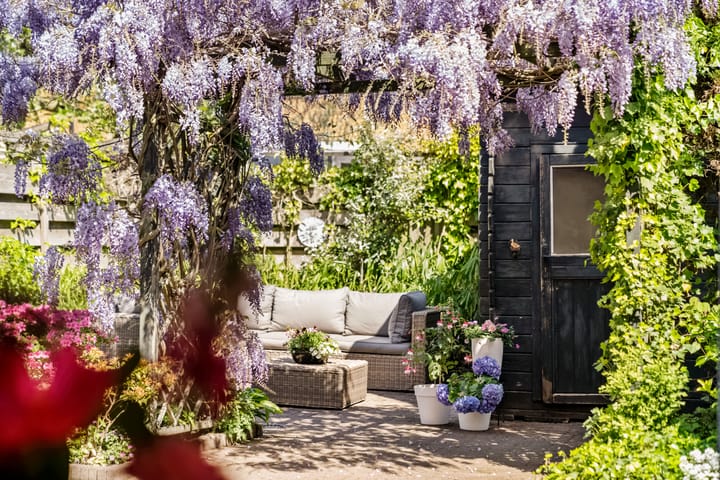 Foto 13 van Zoetegaarde 36