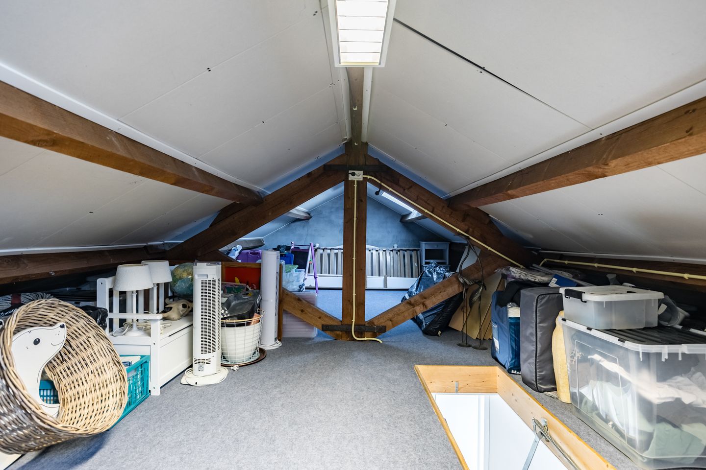 Foto 50 van Schapendrift 153