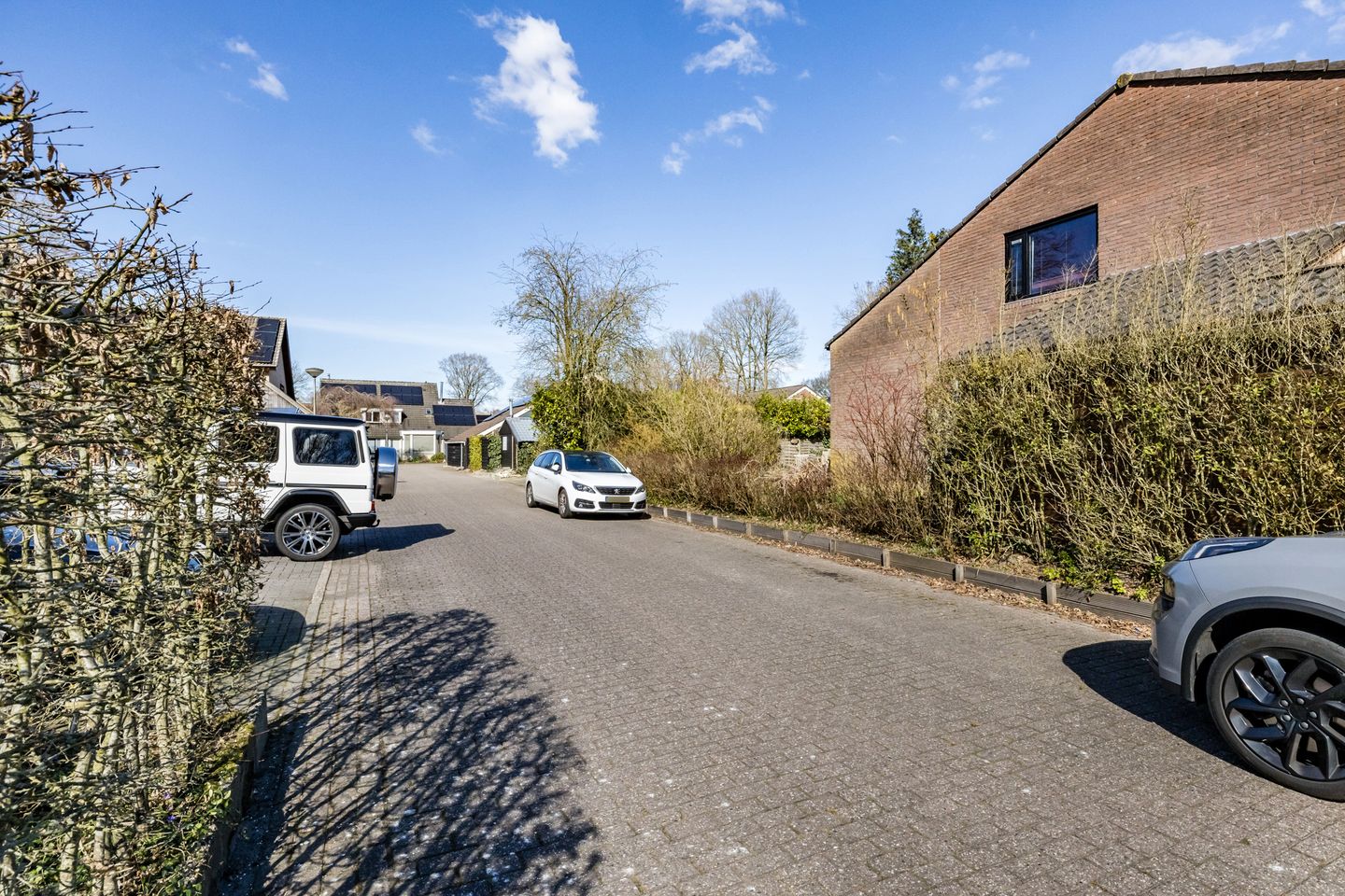 Foto 59 van Schapendrift 153