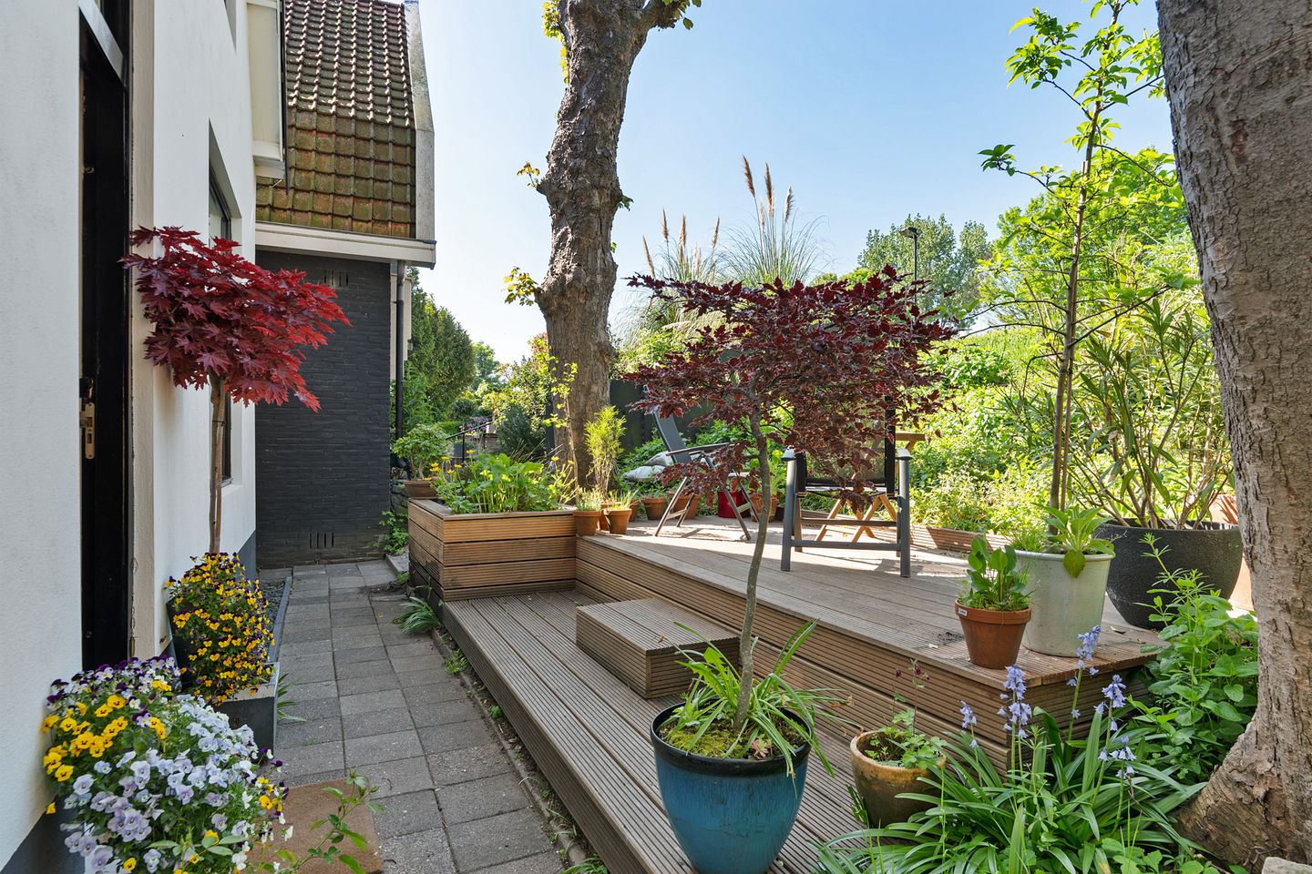 Foto 5 van Zuiddijk 401