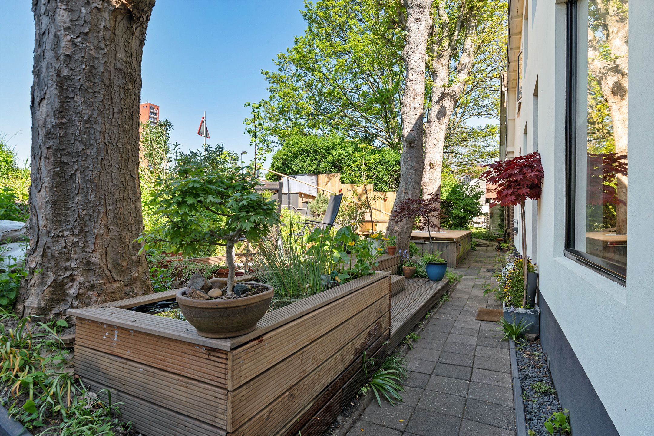 Foto 6 van Zuiddijk 401