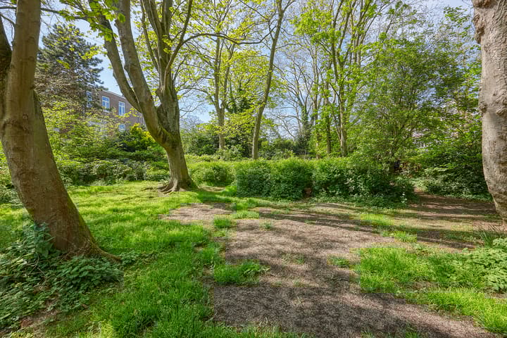 Photo 43 of Laan van Meerdervoort 167-A