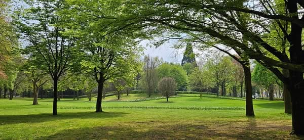 Foto 45 van Waalreseweg 128