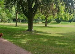 Foto 46 van Waalreseweg 128