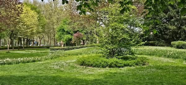 Foto 47 van Waalreseweg 128