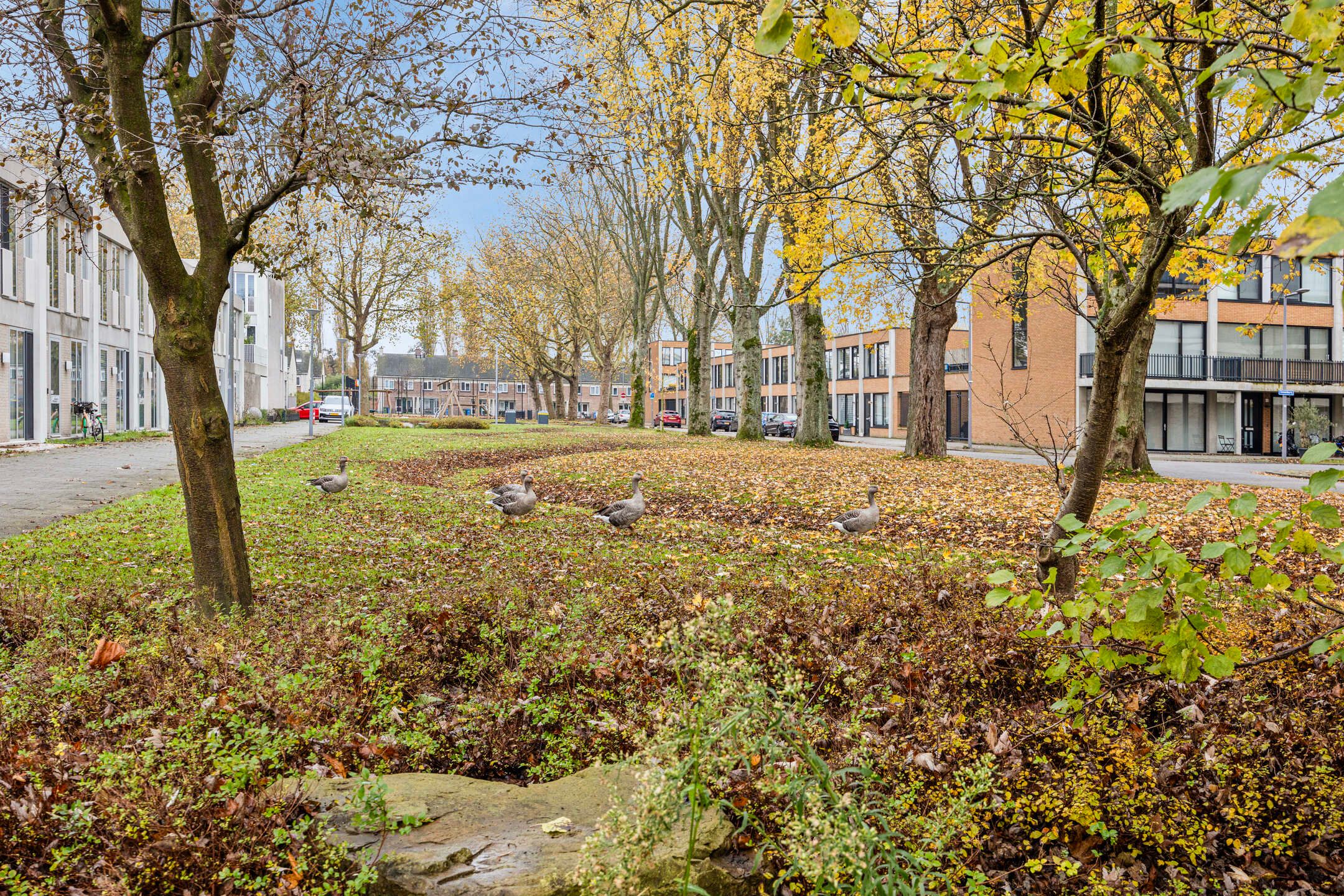 Foto 30 van Keyenburg 46-B