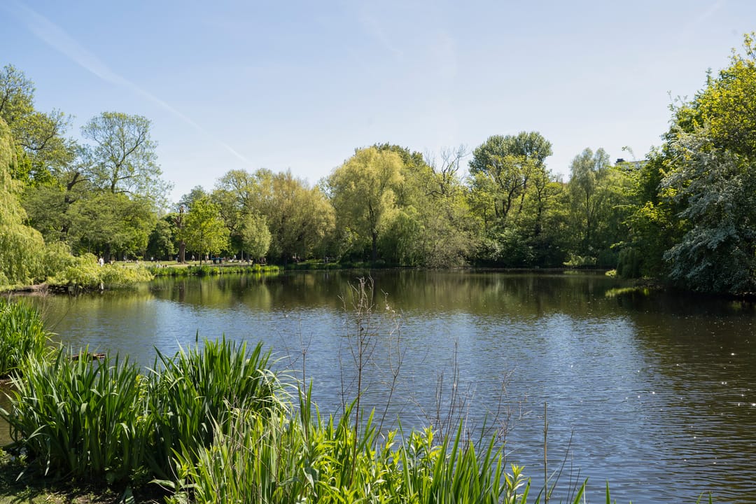 Foto 46 van Zocherstraat 31-2