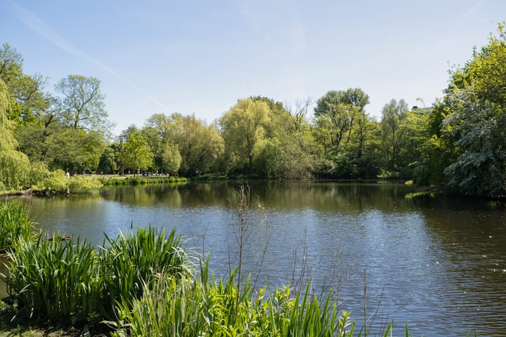 Foto 46 van Zocherstraat 31-2