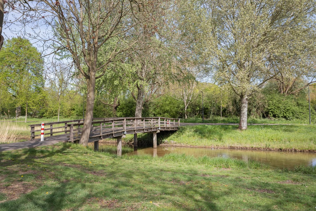 Foto 37 van Adriaen Willaertstraat 59