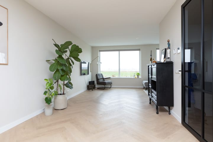 Photo 13 of Piperaai 24