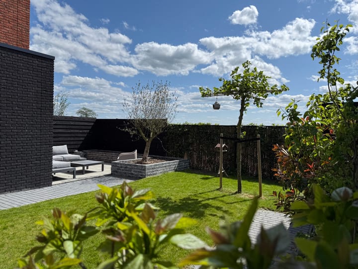 Photo 36 of Piperaai 24