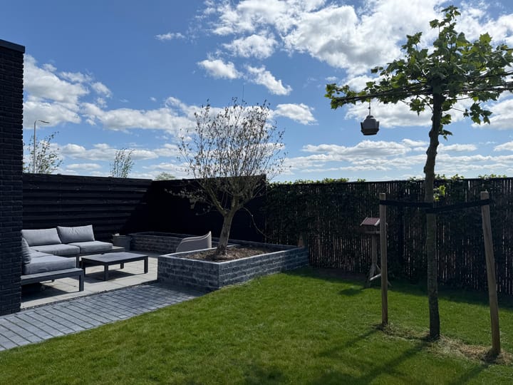 Photo 40 of Piperaai 24