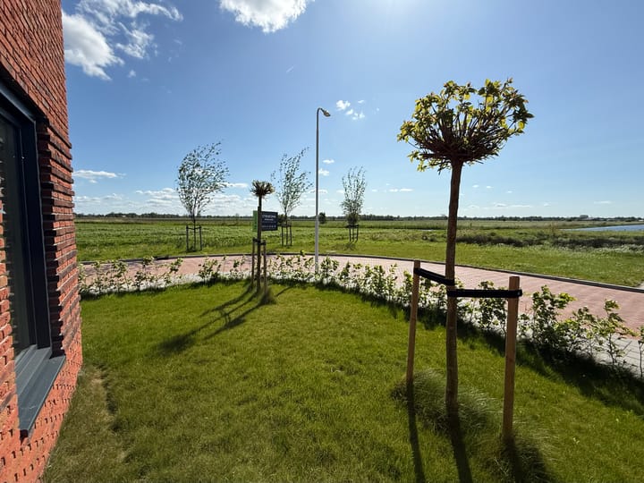 Photo 45 of Piperaai 24