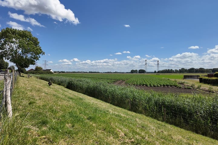 Foto 80 van Bisschop Hopmansstraat 50