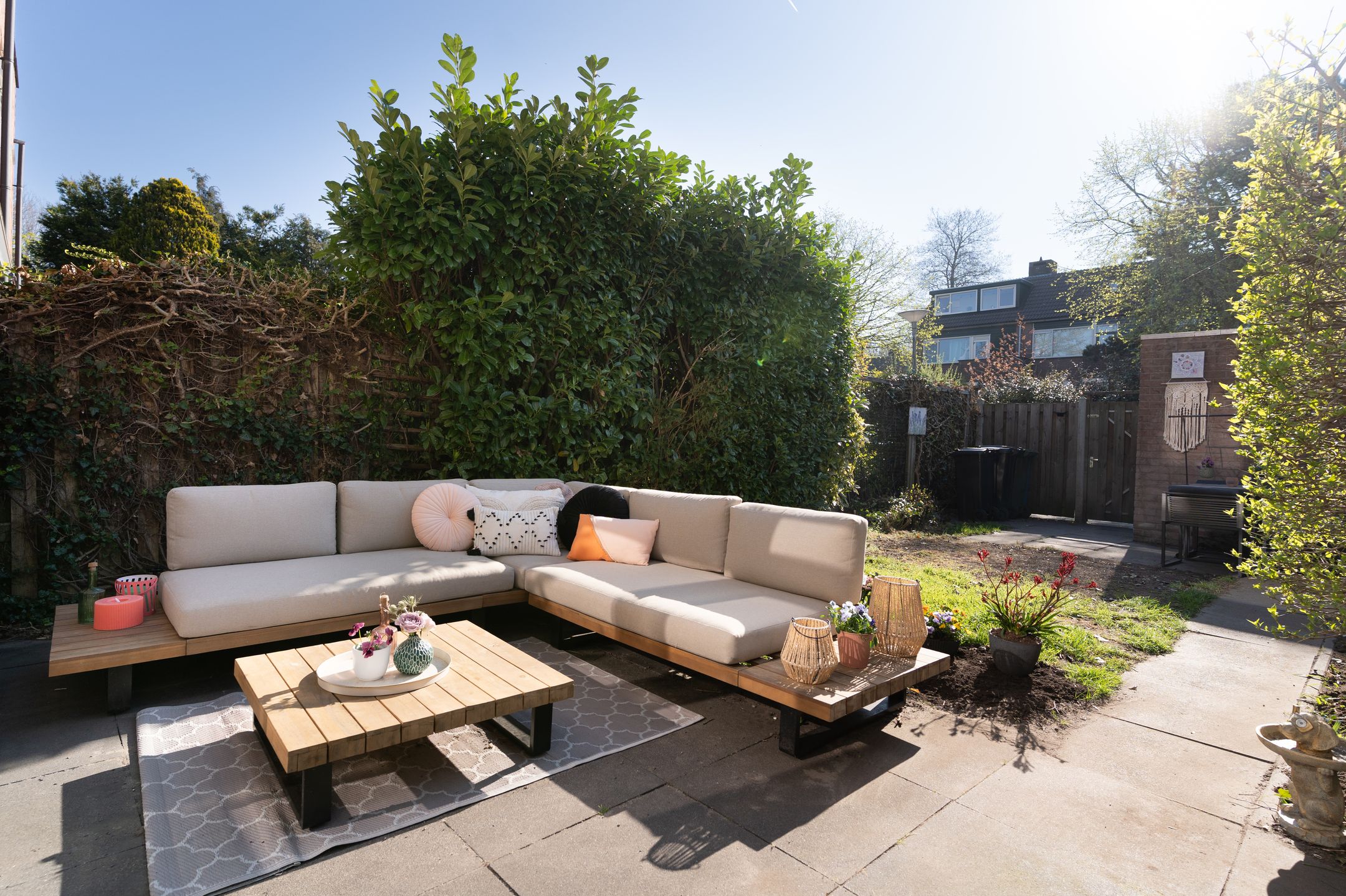 Foto 3 van Karmozijnbes 6