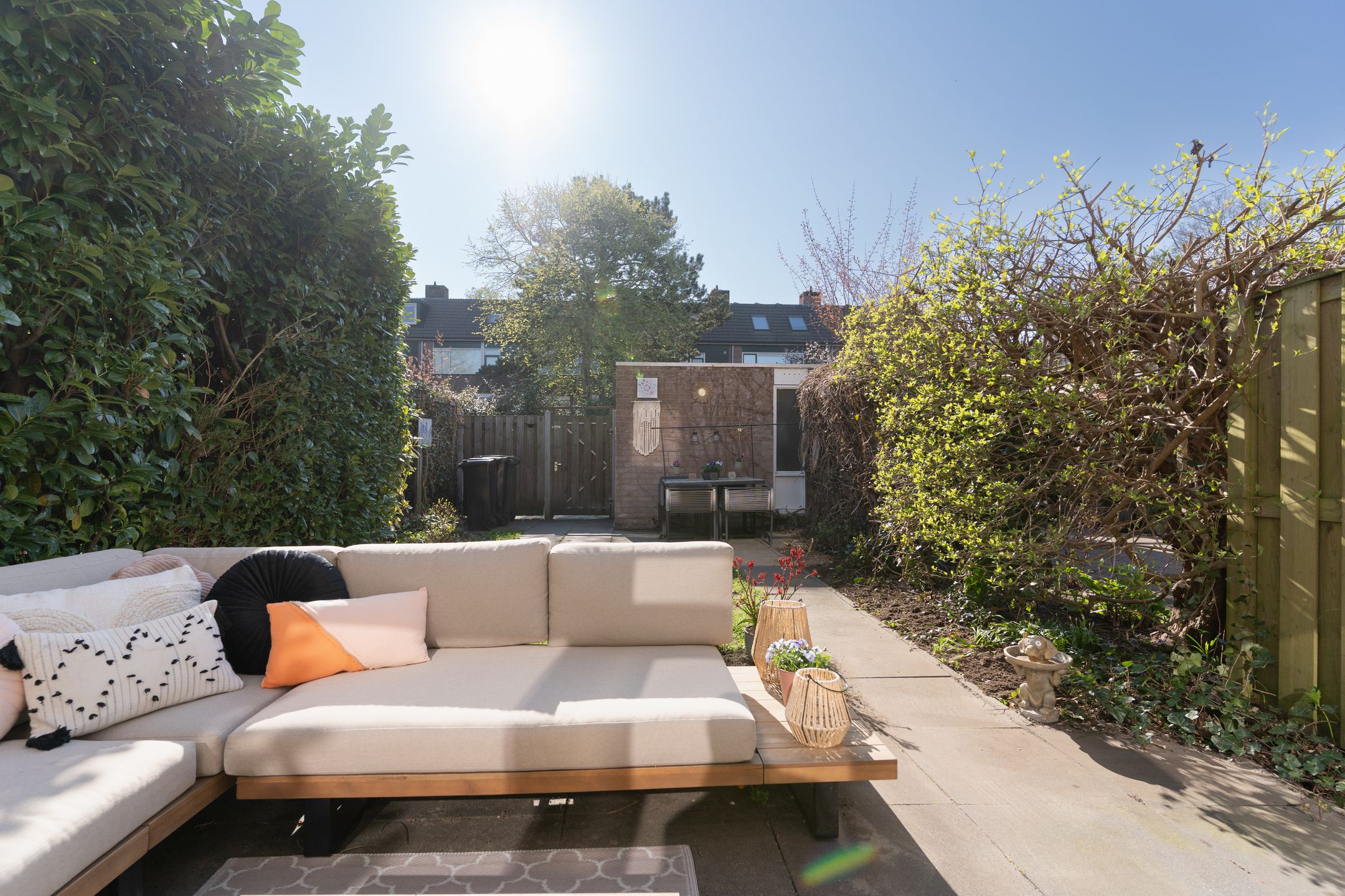 Foto 18 van Karmozijnbes 6